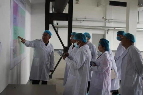 北京同仁堂兴安保健科技有限责任公司滦南分公司顺利通过保健食品生产许可现场核查